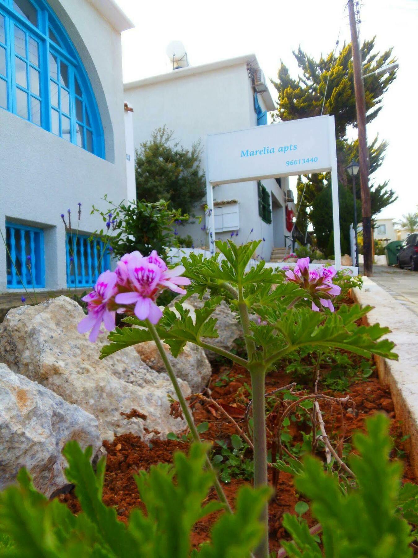 Light & Blue Ayios Elias Private Bungalows Protaras Exterior photo